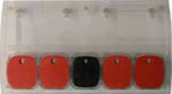 PI888006002.jpg