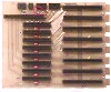 tok415653-1.JPG